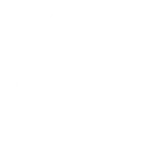 shopify used by freelance digital marketing strategist in Bangalore